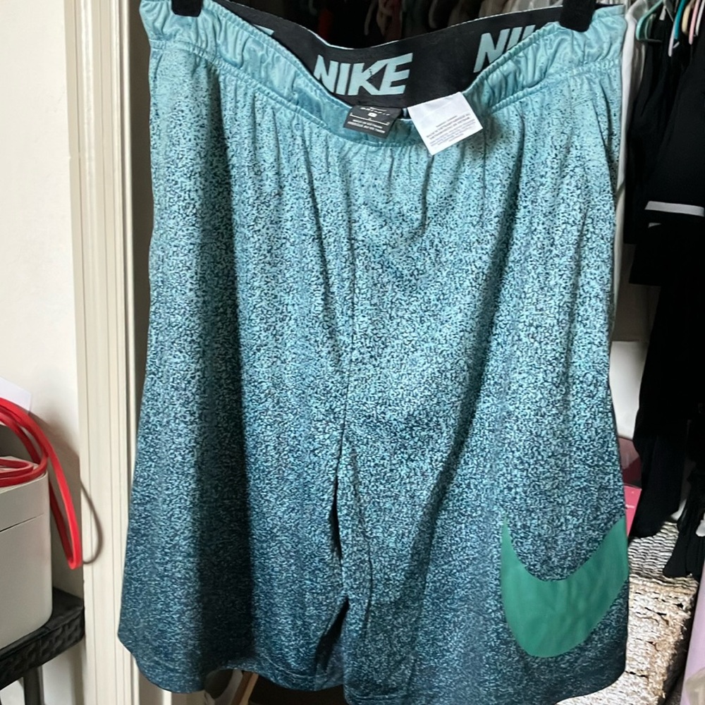 Nike Teal Athletic Shorts